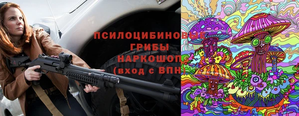 мдпв Волоколамск