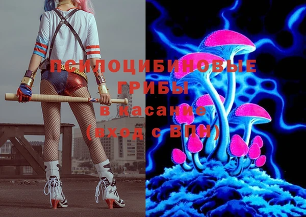 мдпв Волоколамск