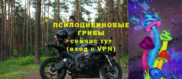 мдпв Волоколамск
